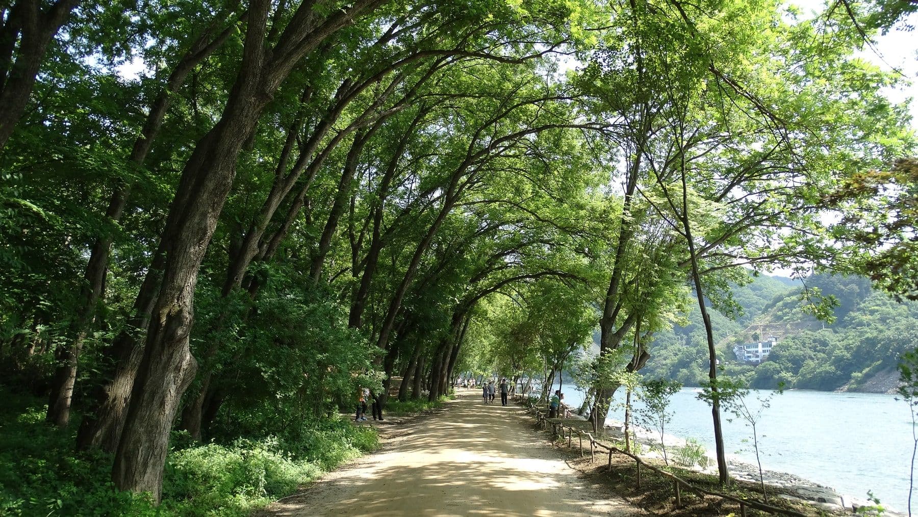 Đảo Nami, Hàn Quốc