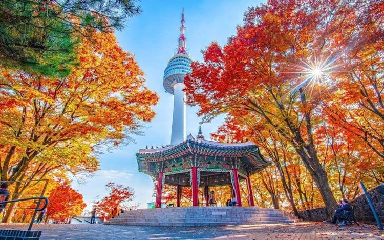 Seoul – Nami – Korean Folk Village – Thư Viện