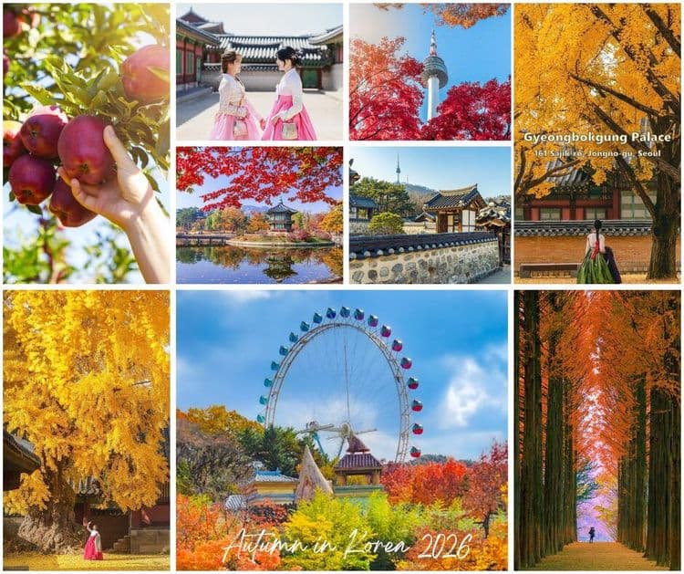 Seoul – Nami – Everland – Hái Táo
