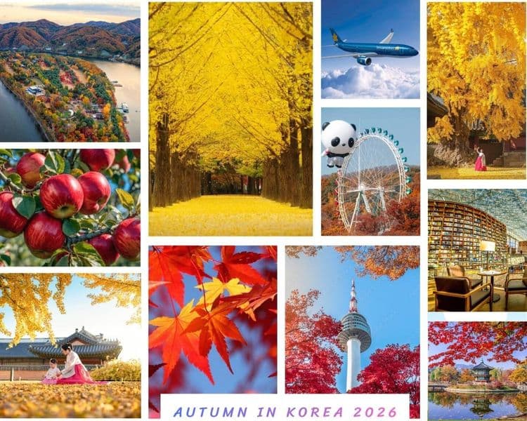 Seoul – Nami – Everland – Thư Viện Sách – Hái Táo