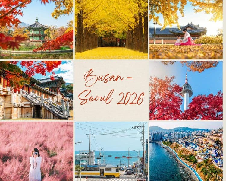 Busan – Gyeongju – Seoul – Đảo Nami – Tàu Điện Ven Biển Haeundae – Cỏ Hồng Muhly – Làng Văn Hóa Huinnyeoul